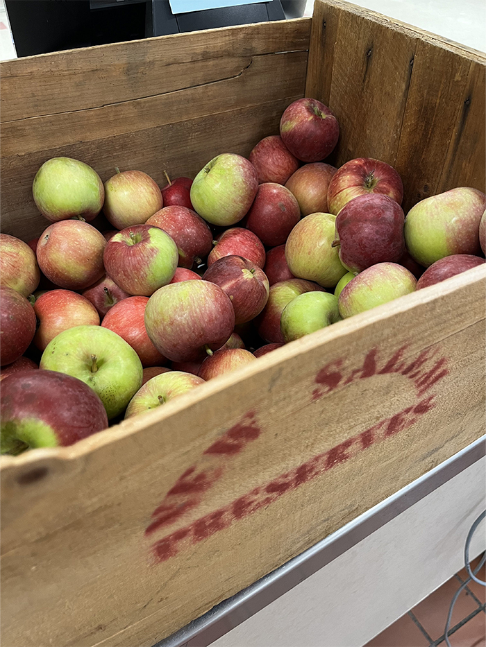 Box of fresh apples